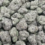 Apple Fritters – Hybrid - Image 2