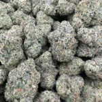 Black Gelato – Hybrid - Image 2