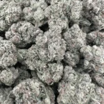 Candy Certz – Hybrid - Image 2