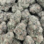 Durban Poison – Sativa - Image 2