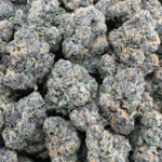 Gelonade – Hybrid – 3.5G - Image 2