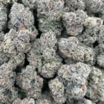 Lemon Cherry Gelato – Hybrid – OUNCE SPECIAL - Image 2