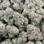 Mochi – Hybrid - Image 2