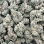 Orange Julius – Sativa - Image 2