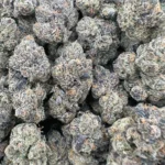 Permanent Marker – Indica – OUNCE SPECIAL - Image 2