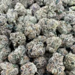 EXOTIC INDOORS SMALLS – Hybrid