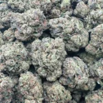 Rainbow Gelato – Hybrid – OUNCE SPECIAL - Image 2