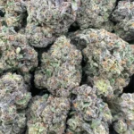 Raspberry Icee – Hybrid - Image 2