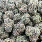 EXOTIC INDOORS SMALLS – Hybrid - Image 2