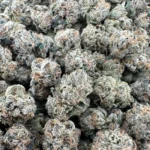 EXOTIC INDOORS SMALLS – Hybrid - Image 4