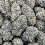 Sunset Sherbert – Hybrid – 3.5G - Image 2