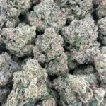 Tropical Runtz – Hybrid – OUNCE SPECIAL - Image 2