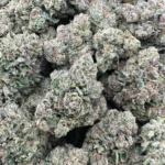 White Gusherz – Sativa – OUNCE SPECIAL - Image 2