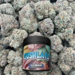 Gushlato – Hybrid