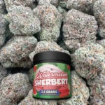 Watermelon Sherbert – Hybrid – OUNCE SPECIAL