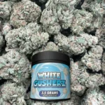 White Gusherz – Sativa – OUNCE SPECIAL