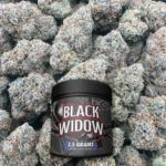Black Widow – Hybrid