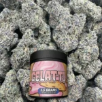 Gelatti – Indica