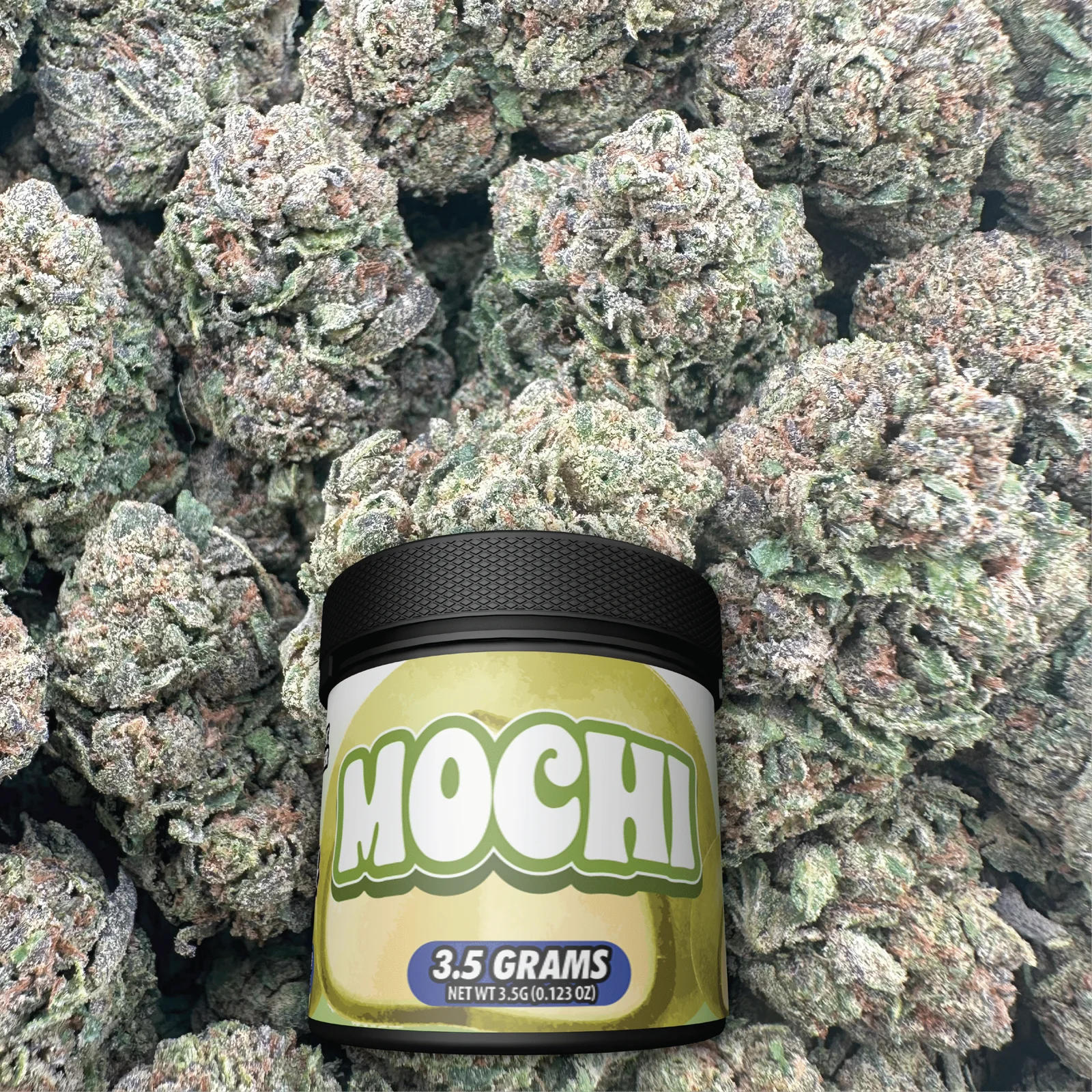WP_web-product-image_mochi-scaled-24-Sep-2025.webp Mochi – Hybrid - Image 1