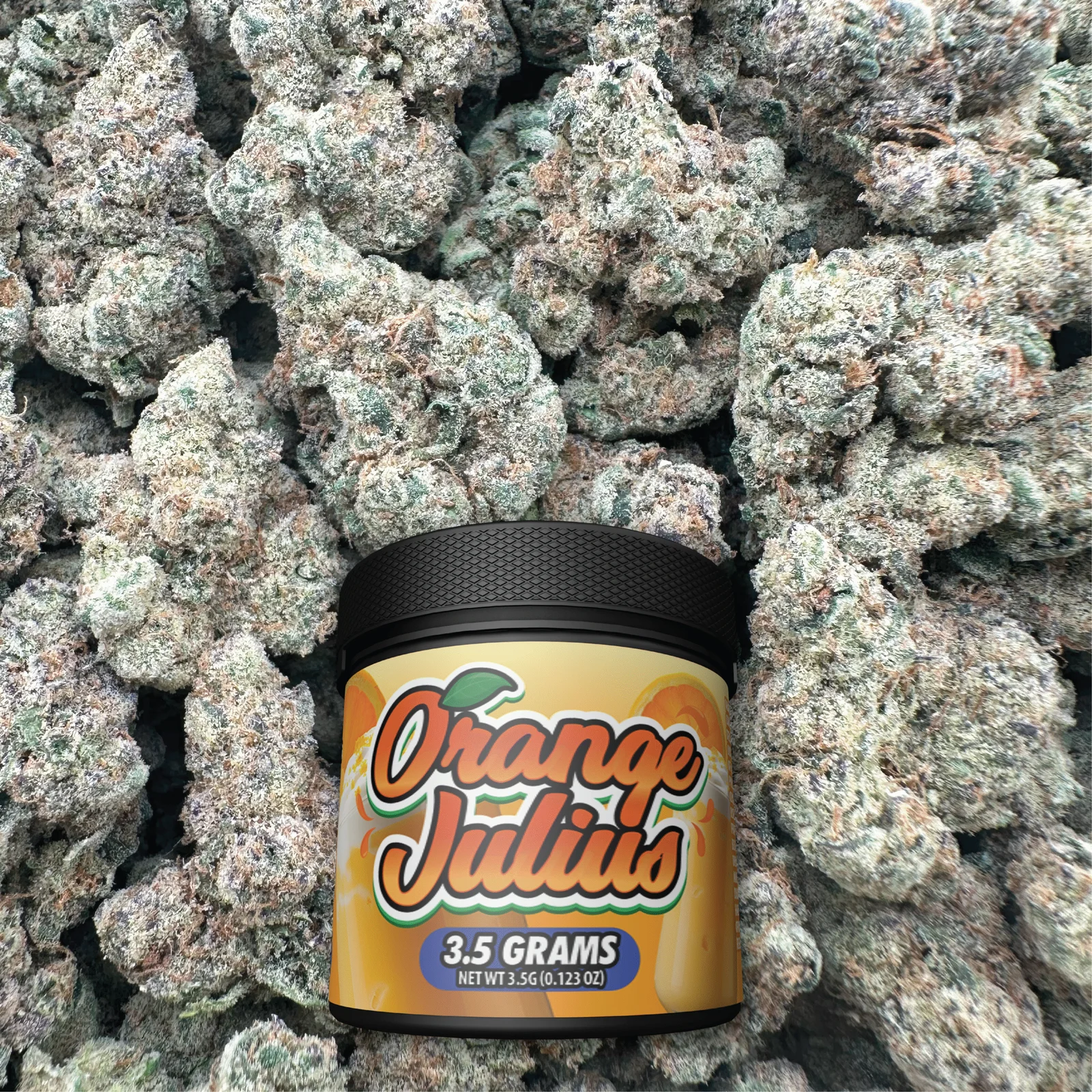 WP_web-product-image_orange-julius-scaled-24-Sep-2025.webp Orange Julius – Sativa - Image 1