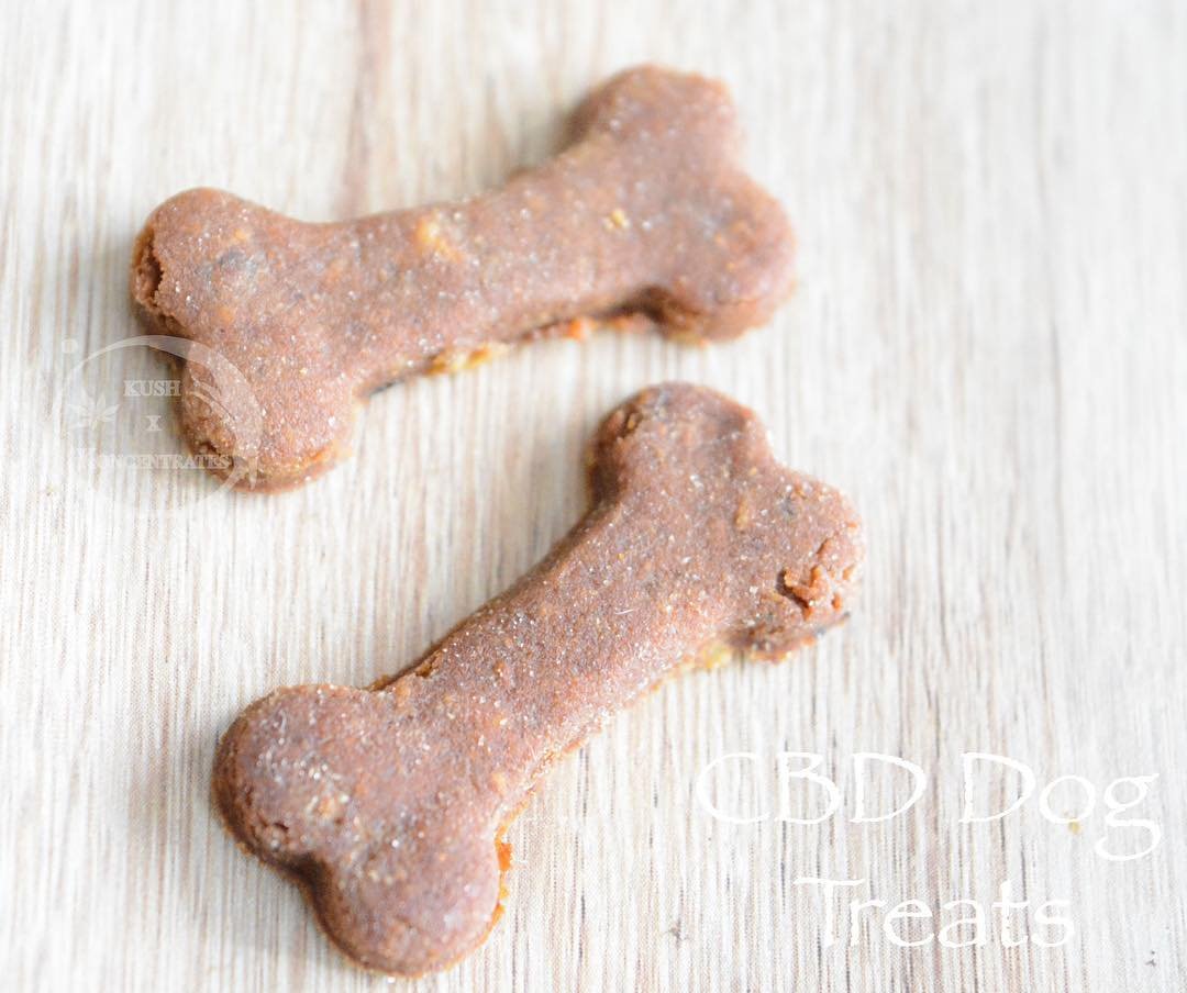 WhatsApp-Image-2019-08-12-at-12.07.09.jpeg CBD Dog treats - Image 1