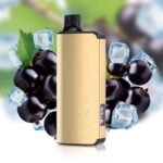 BLACKBERRY ICE – ALIBARBAR INGOT 9000