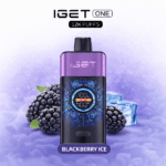 BLACKBERRY ICE – IGET ONE 12,000