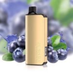 BLUEBERRY BLAST – ALIBARBAR INGOT 9000 - Image 2