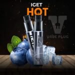 BLUEBERRY ICE – IGET HOT 5500