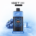 BLUEBERRY ICE – IGET ONE 12,000