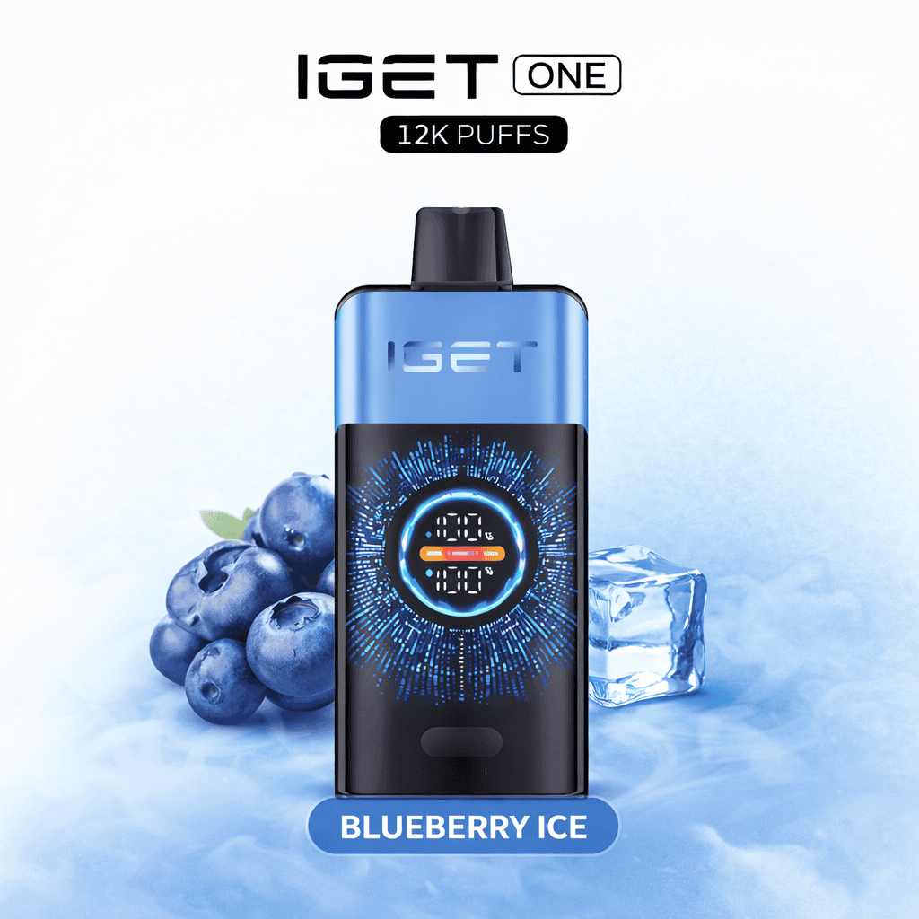 blueberry-ice-iget-one-12-000-2.png BLUEBERRY ICE – IGET ONE 12,000 - Image 1