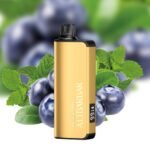 BLUEBERRY MINT (NEW FLAVOUR!) – ALIBARBAR INGOT 9000 - Image 2