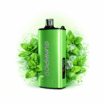 FRESH MINT – GUNNPOD EVO 15,000 - Image 2