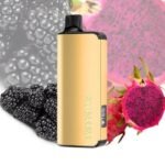 FTP (BLACKBERRY DRAGONFRUIT) (NEW FLAVOUR!) – ALIBARBAR INGOT 9000 - Image 2