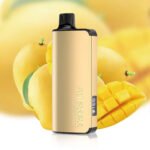 MAGIC MANGO – ALIBARBAR INGOT 9000