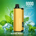 MIAMI MINT (NEW FLAVOUR!) – ALIBARBAR INGOT 9000