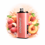 PEACH LYCHEE – GUNNPOD EVO 15,000