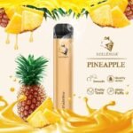 PINEAPPLE – GUNNPOD 2000 - Image 2