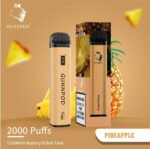 PINEAPPLE – GUNNPOD 2000